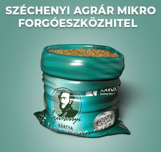 kavosz_szamf_web_csempe-1